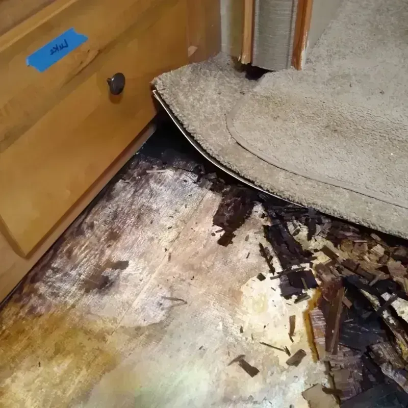 Wood Floor Water Damage in Columbia, KY